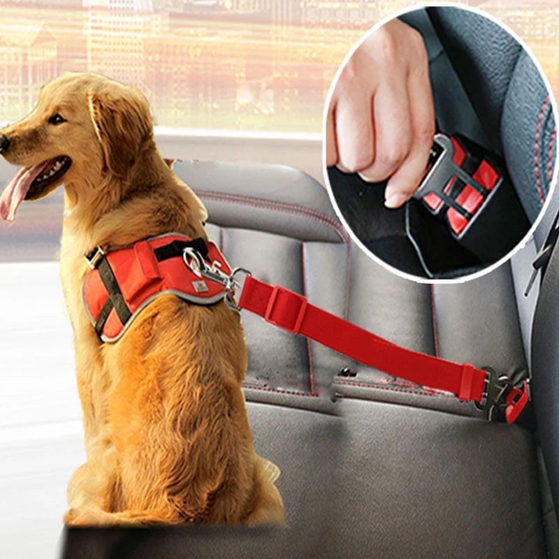 Cinturón de Seguridad para Mascotas – Viajes Seguros y Tranquilos