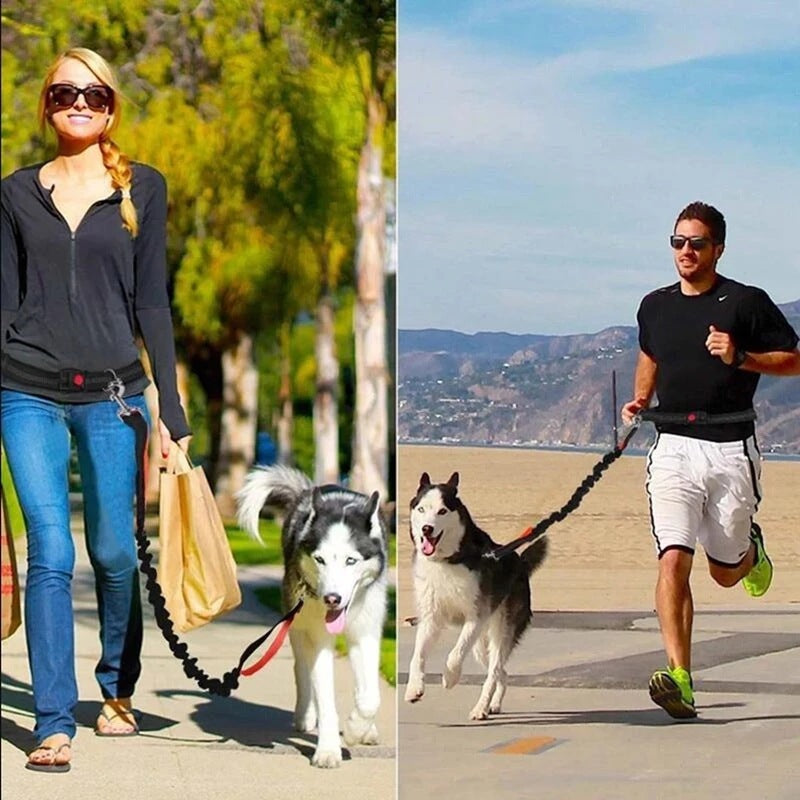 Arnés y Correa Ajustable – Paseos y Jogging sin Tirones