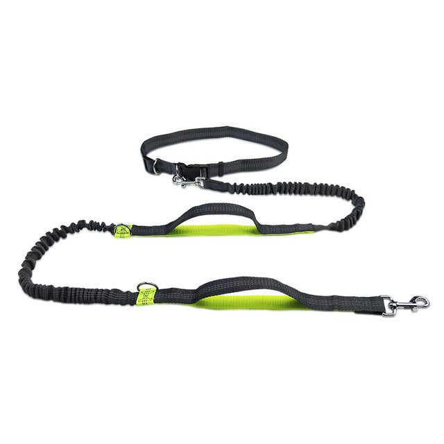 Arnés y Correa Ajustable – Paseos y Jogging sin Tirones