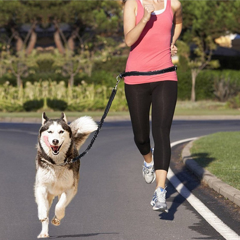 Arnés y Correa Ajustable – Paseos y Jogging sin Tirones