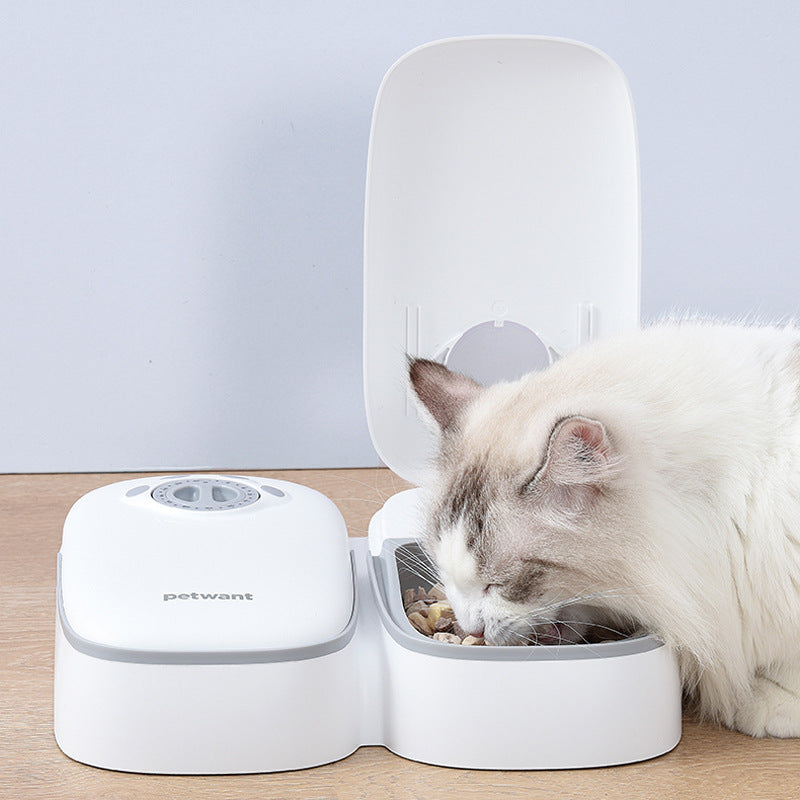 Comedero Automático para Cachorros – Horarios Seguros y Constantes
