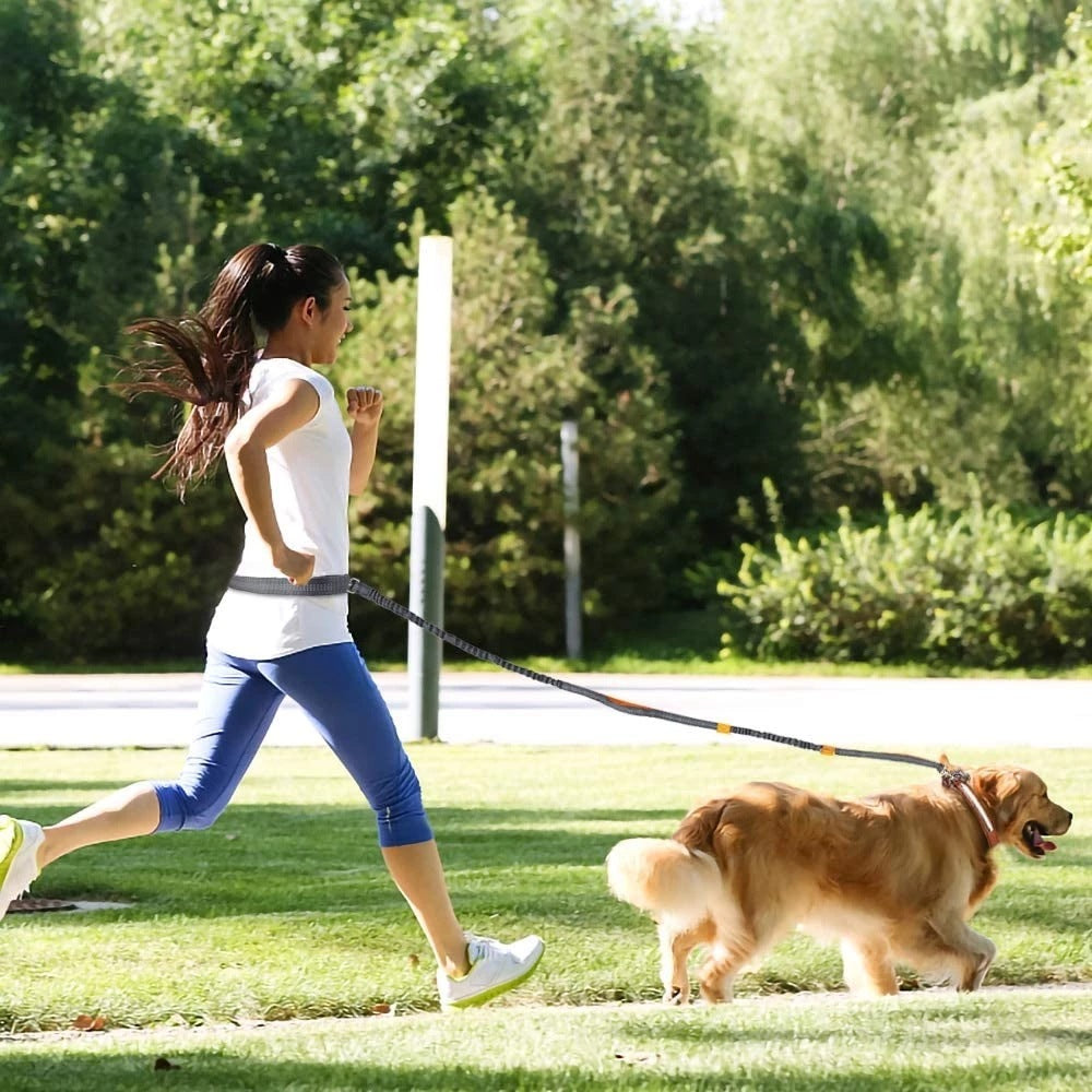 Arnés y Correa Ajustable – Paseos y Jogging sin Tirones