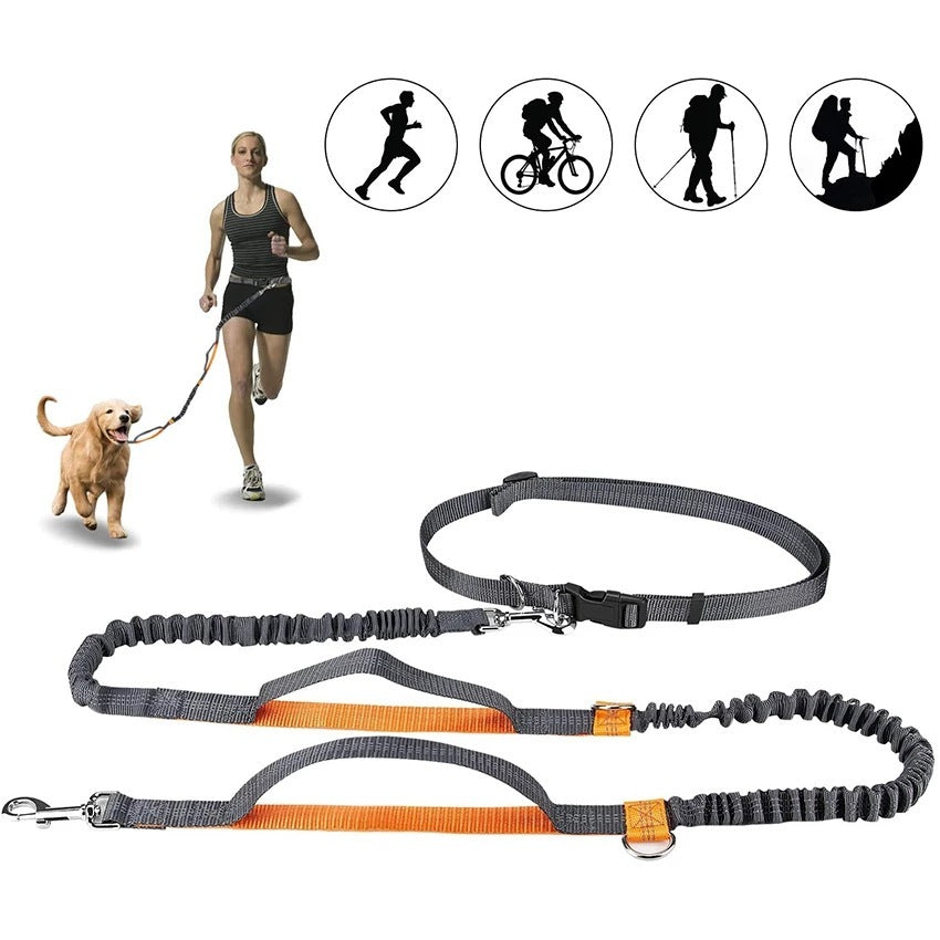 Arnés y Correa Ajustable – Paseos y Jogging sin Tirones